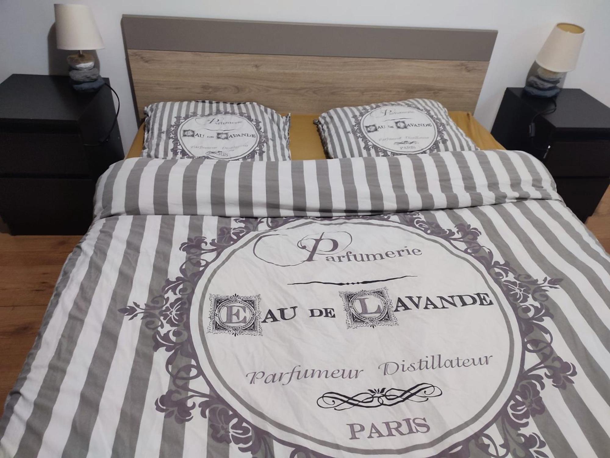 Grand Appartement Chaleureux Mirebeau-sur-Beze Exterior foto